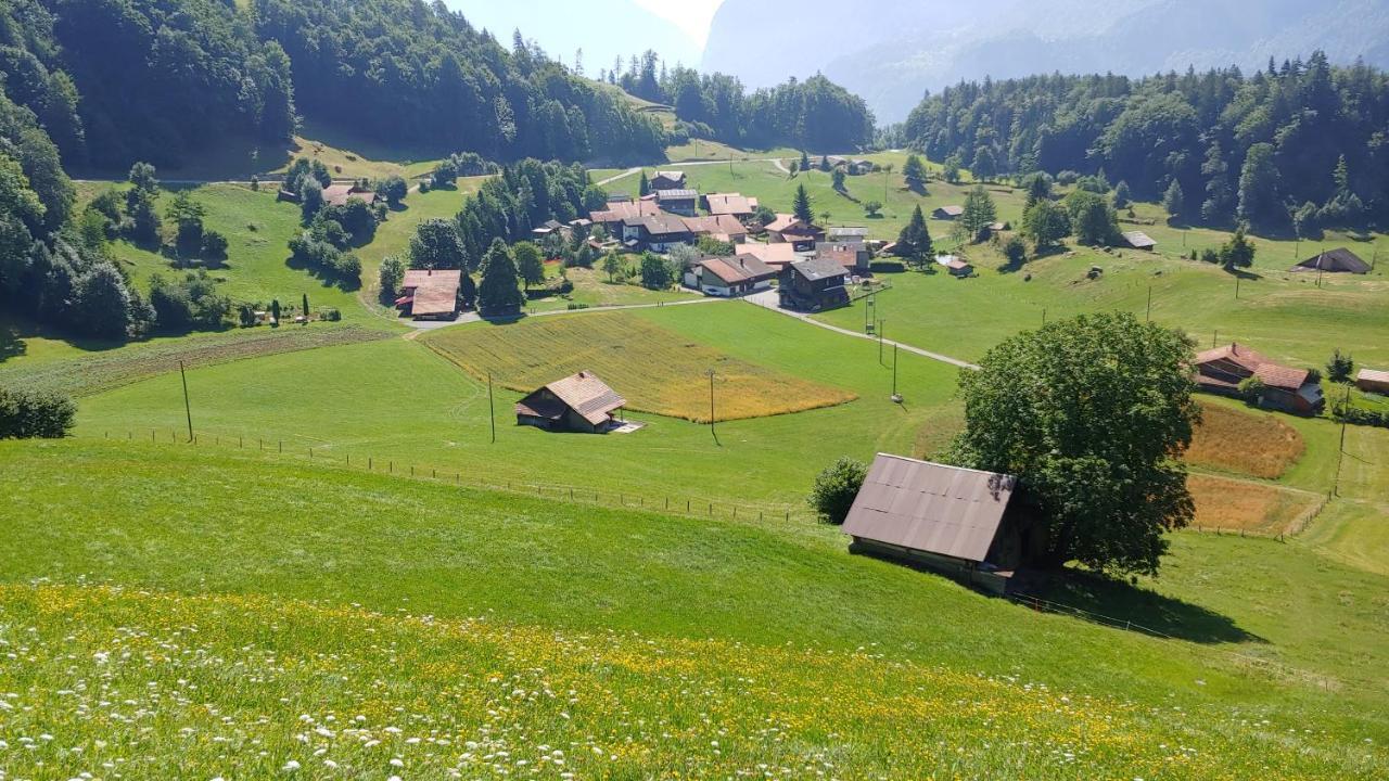 Chalet Bruenig Meiringen Exterior photo