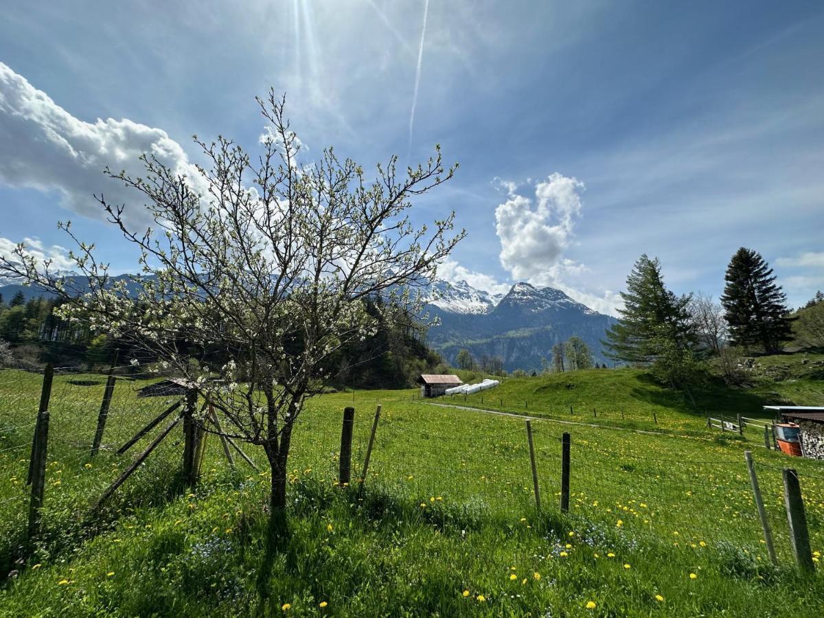 Chalet Bruenig Meiringen Exterior photo