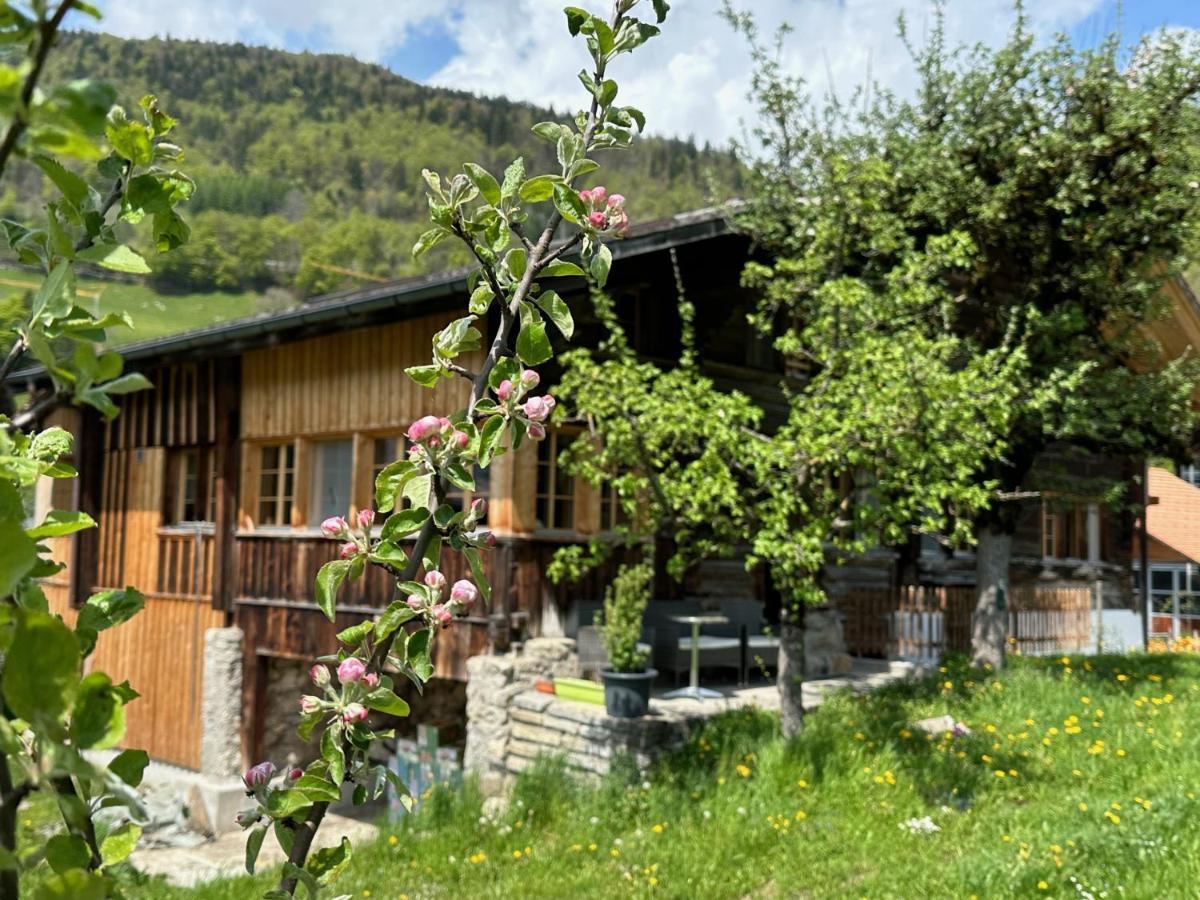 Chalet Bruenig Meiringen Exterior photo