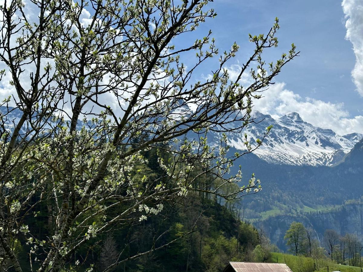 Chalet Bruenig Meiringen Exterior photo